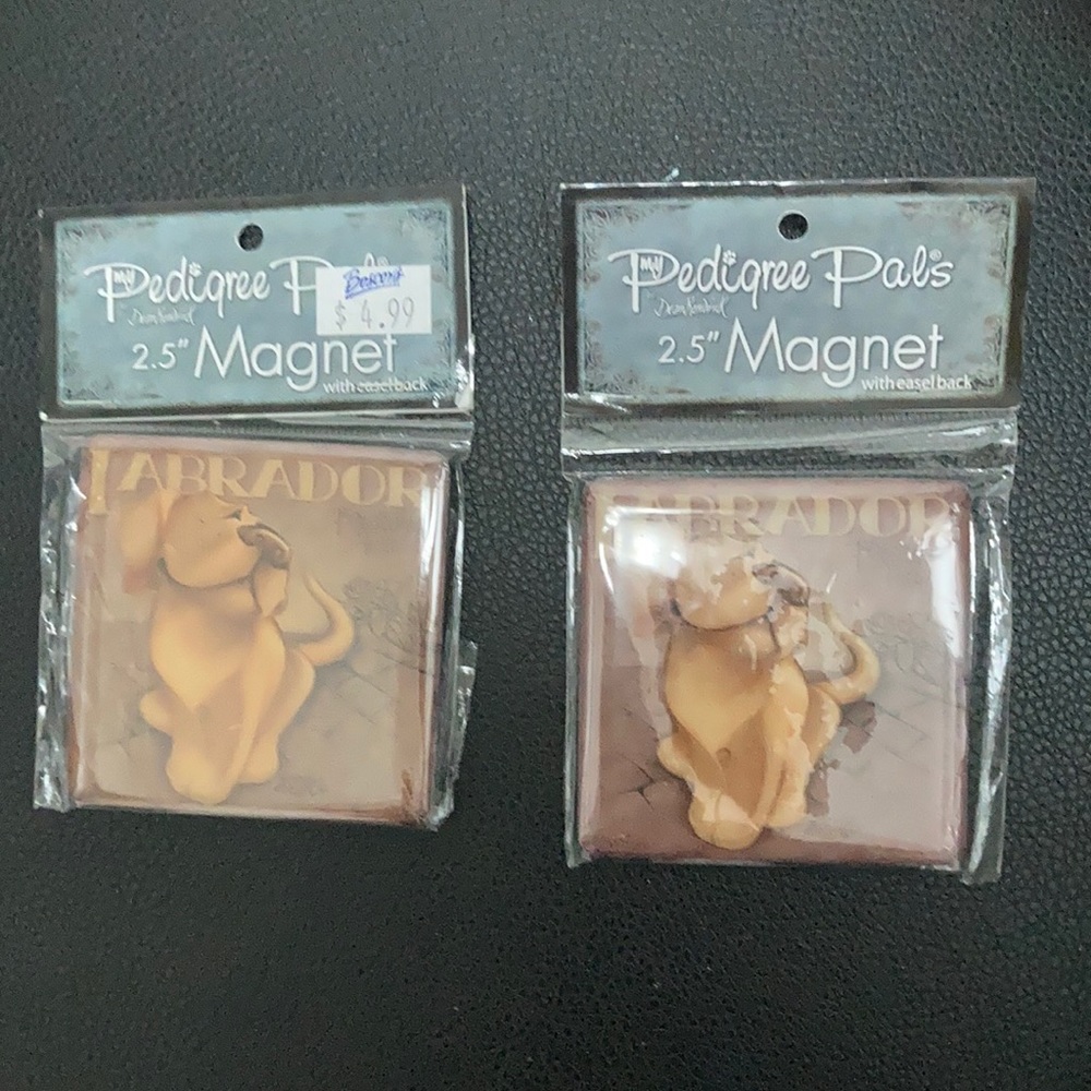 2 Labrador dog magnets 2.5” with easel back - Picture 6 of 10